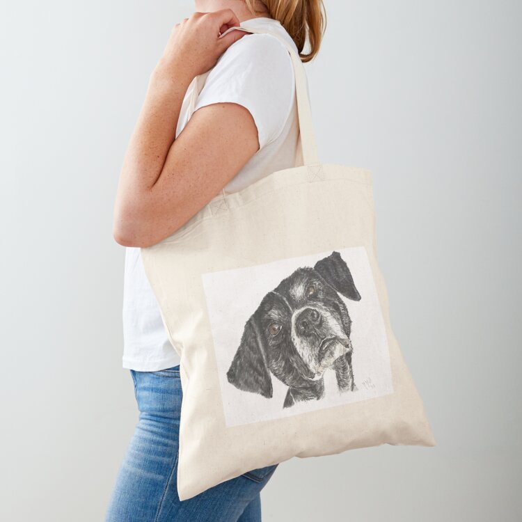 Street Fashion Greece - Street dog from Greece, called Dinos